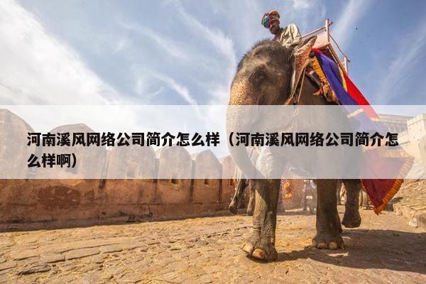 河南溪风网络公司简介怎么样（河南溪风网络公司简介怎么样啊）
