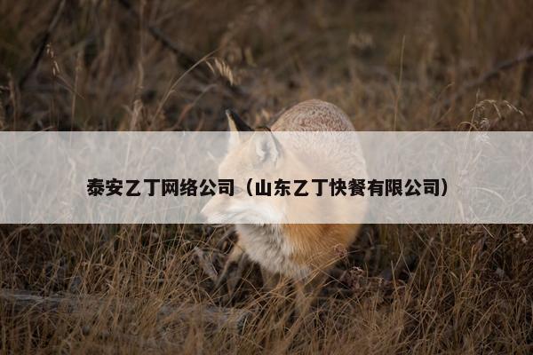 泰安乙丁网络公司（山东乙丁快餐有限公司）