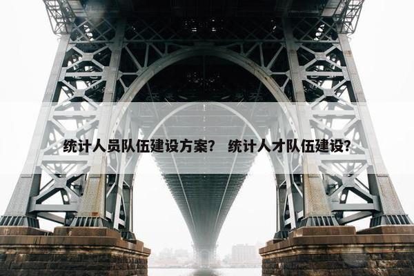 统计人员队伍建设方案？ 统计人才队伍建设？