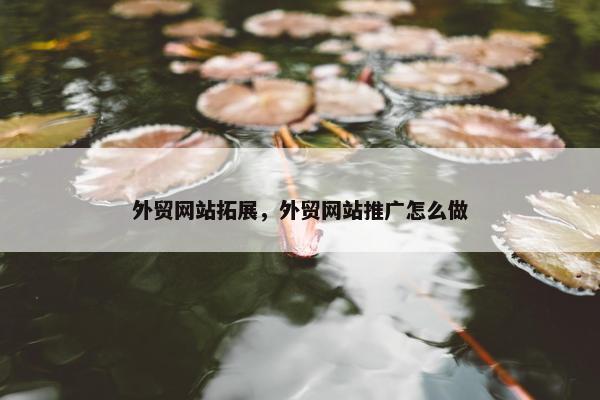 外贸网站拓展，外贸网站推广怎么做