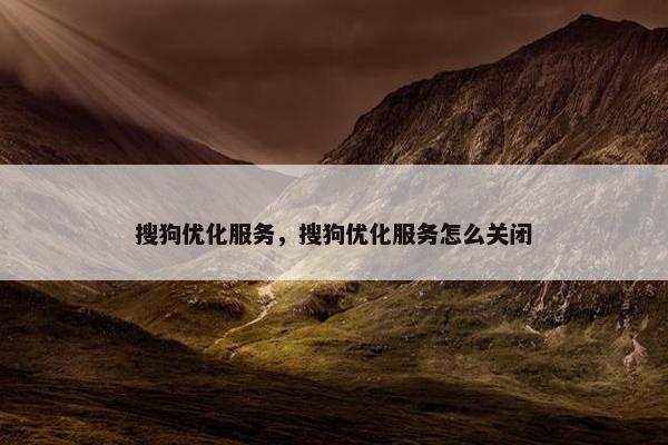 搜狗优化服务，搜狗优化服务怎么关闭