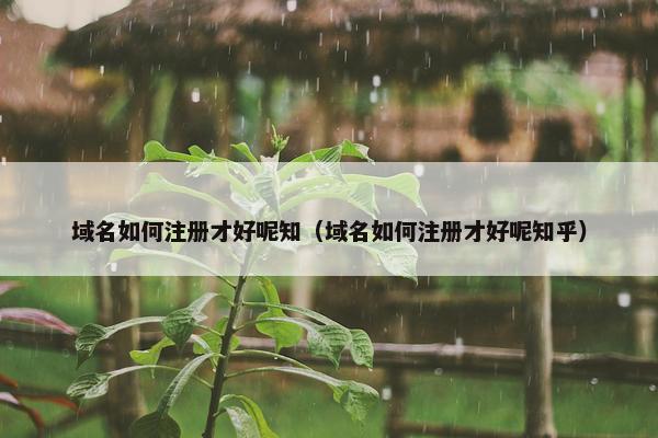 域名如何注册才好呢知（域名如何注册才好呢知乎）