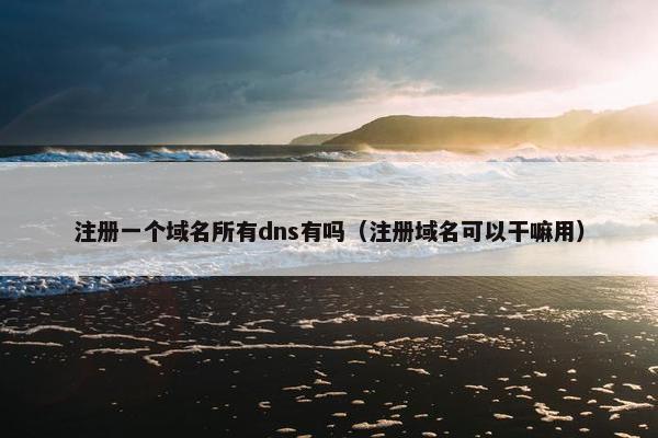 注册一个域名所有dns有吗（注册域名可以干嘛用）