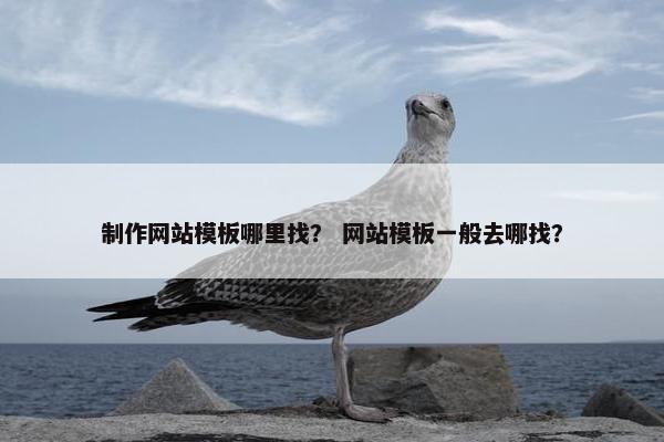制作网站模板哪里找？ 网站模板一般去哪找？