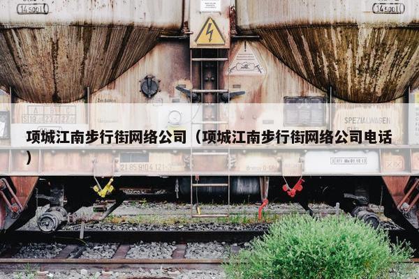 项城江南步行街网络公司（项城江南步行街网络公司电话）