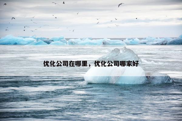 优化公司在哪里，优化公司哪家好