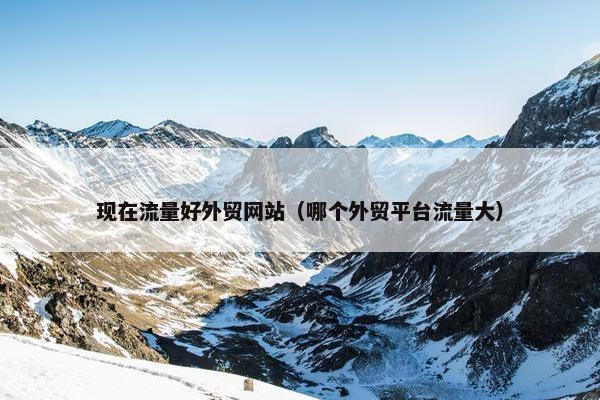 现在流量好外贸网站（哪个外贸平台流量大）