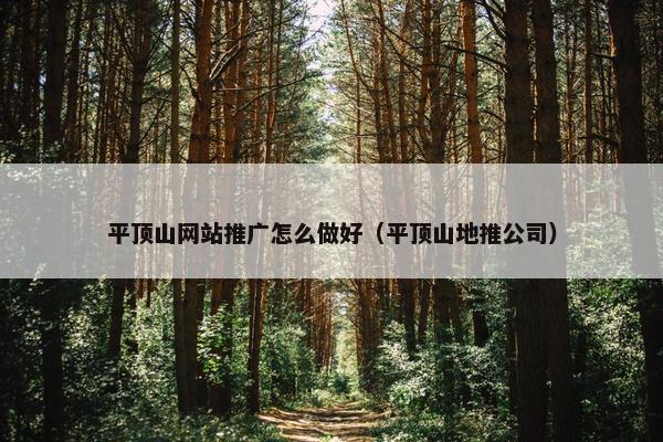 平顶山网站推广怎么做好（平顶山地推公司）