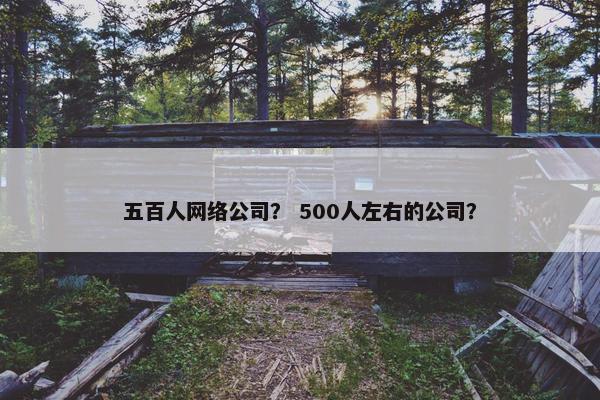 五百人网络公司？ 500人左右的公司？