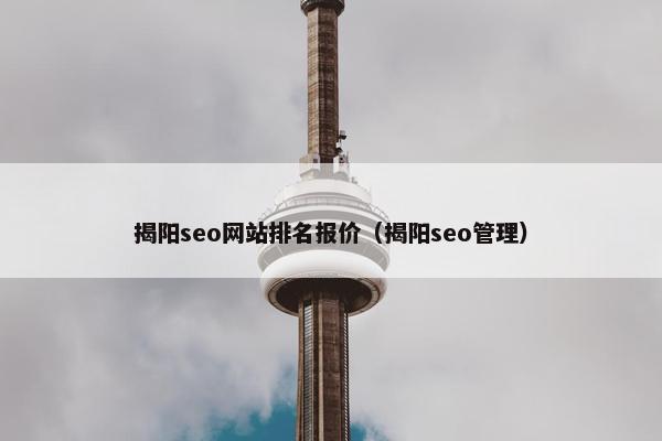 揭阳seo网站排名报价（揭阳seo管理）
