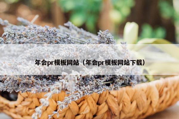 年会pr模板网站（年会pr模板网站下载）