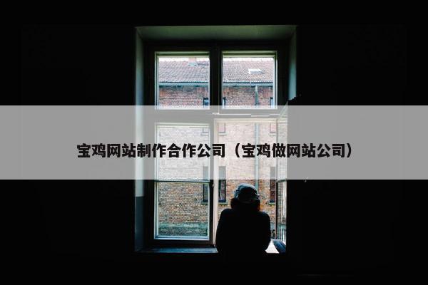 宝鸡网站制作合作公司（宝鸡做网站公司）