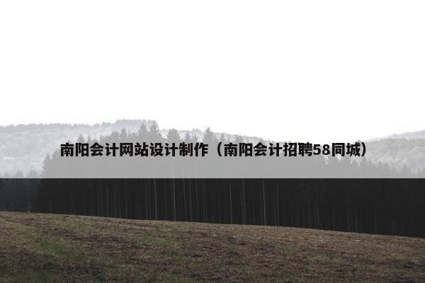 南阳会计网站设计制作（南阳会计招聘58同城）