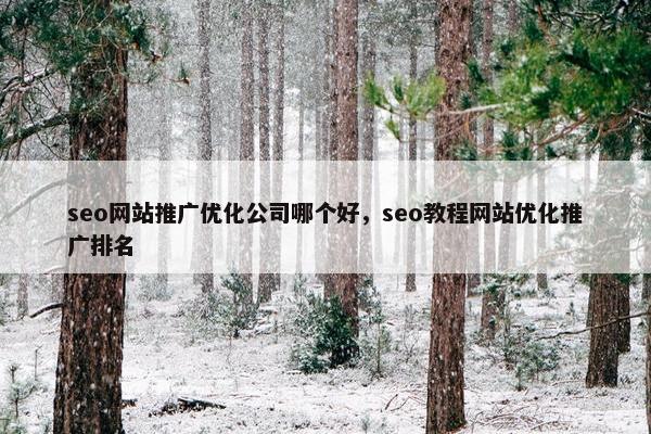 seo网站推广优化公司哪个好，seo教程网站优化推广排名