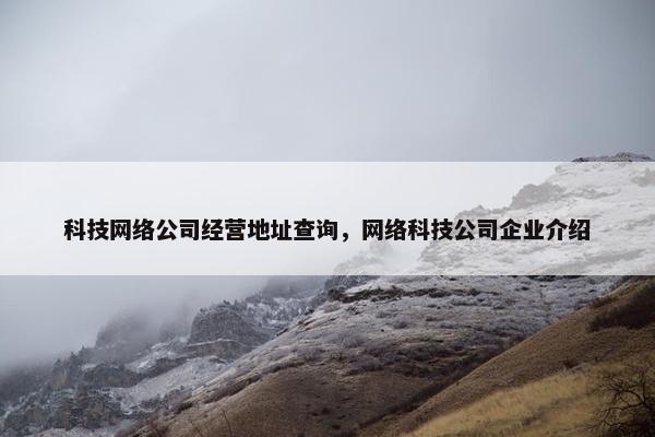科技网络公司经营地址查询，网络科技公司企业介绍
