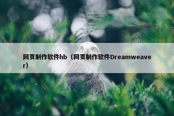 网页制作软件hb（网页制作软件Dreamweaver）