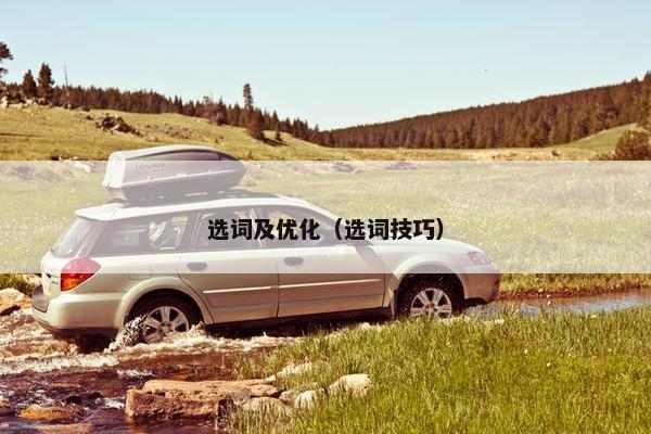 选词及优化（选词技巧）