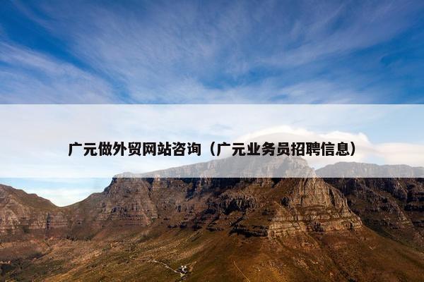 广元做外贸网站咨询（广元业务员招聘信息）
