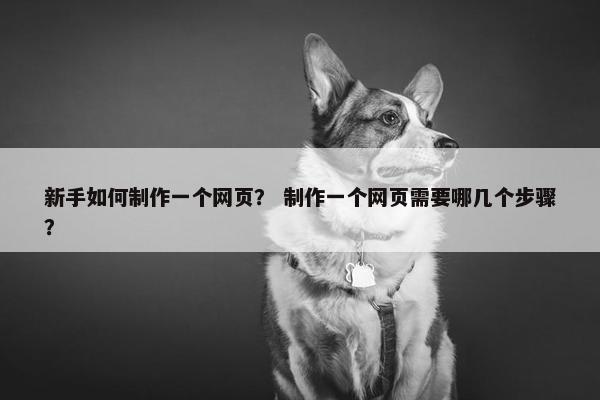 新手如何制作一个网页？ 制作一个网页需要哪几个步骤？