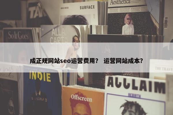 成正规网站seo运营费用？ 运营网站成本？