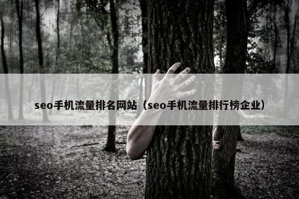 seo手机流量排名网站（seo手机流量排行榜企业）