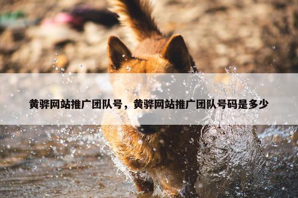 黄骅网站推广团队号，黄骅网站推广团队号码是多少