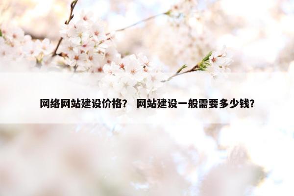 网络网站建设价格？ 网站建设一般需要多少钱？
