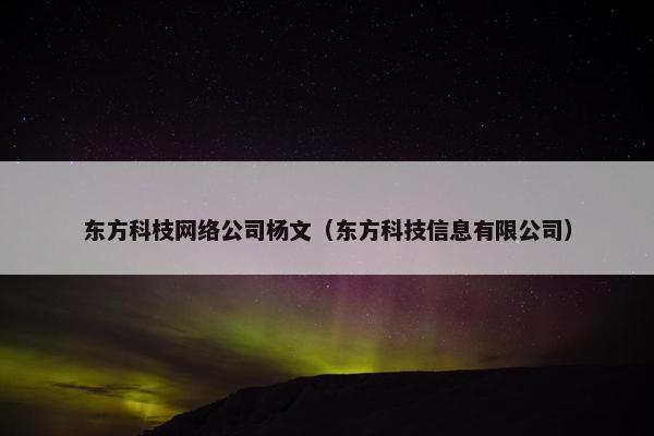 东方科枝网络公司杨文（东方科技信息有限公司）