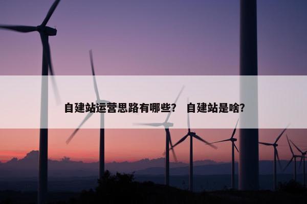 自建站运营思路有哪些？ 自建站是啥？