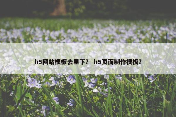 h5网站模板去里下？ h5页面制作模板？