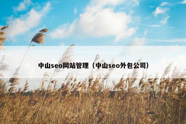 中山seo网站管理（中山seo外包公司）