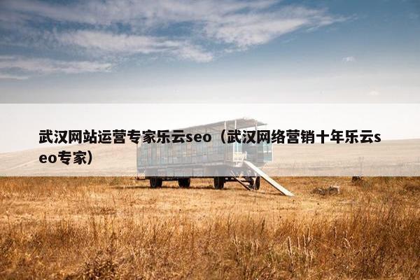 武汉网站运营专家乐云seo（武汉网络营销十年乐云seo专家）