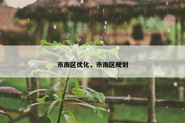 市南区优化，市南区规划