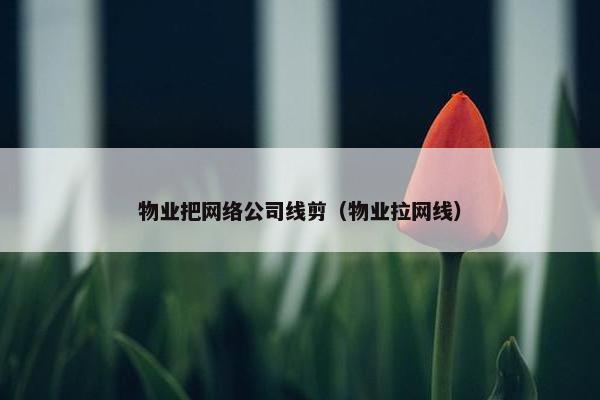 物业把网络公司线剪（物业拉网线）