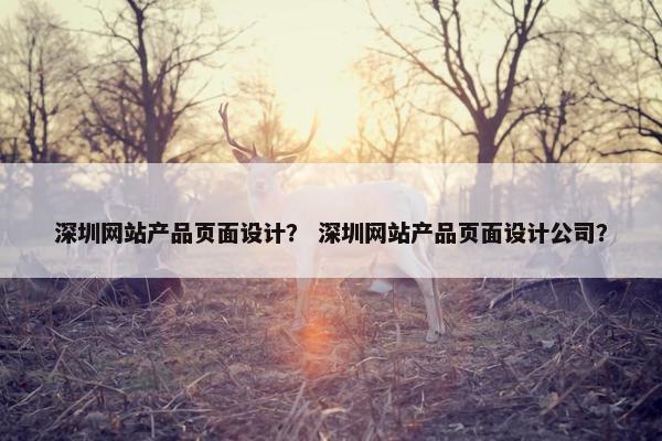 深圳网站产品页面设计？ 深圳网站产品页面设计公司？
