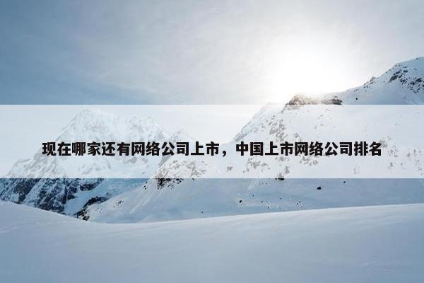 现在哪家还有网络公司上市，中国上市网络公司排名
