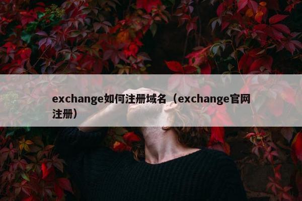exchange如何注册域名（exchange官网注册）