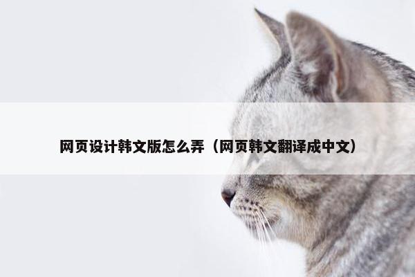 网页设计韩文版怎么弄（网页韩文翻译成中文）