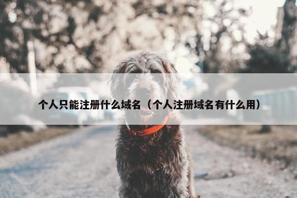 个人只能注册什么域名（个人注册域名有什么用）