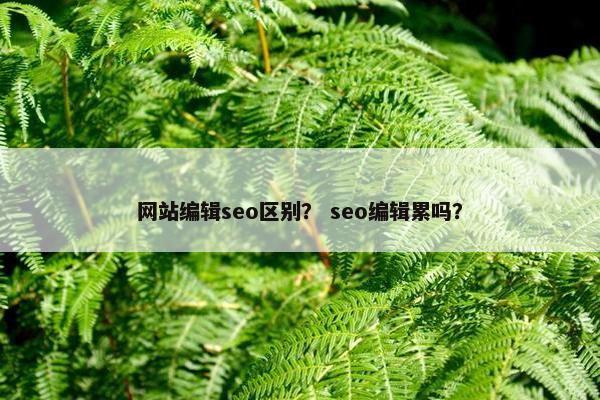网站编辑seo区别？ seo编辑累吗？