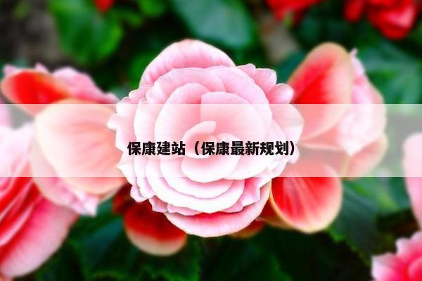 保康建站（保康最新规划）