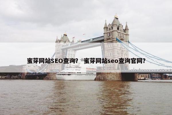 蜜芽网站SEO查询？ 蜜芽网站seo查询官网？