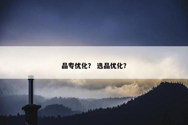品专优化？ 选品优化？