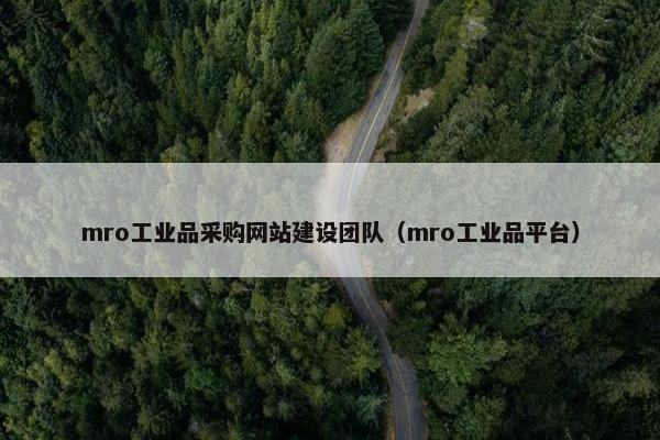 mro工业品采购网站建设团队（mro工业品平台）