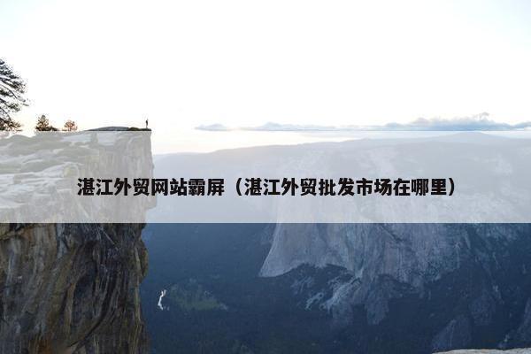 湛江外贸网站霸屏（湛江外贸批发市场在哪里）