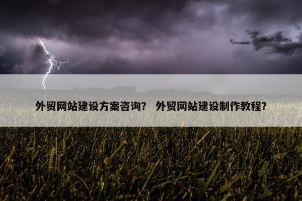 外贸网站建设方案咨询？ 外贸网站建设制作教程？