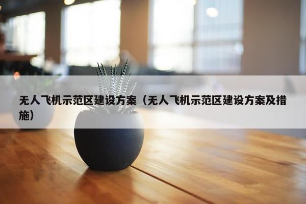 无人飞机示范区建设方案（无人飞机示范区建设方案及措施）