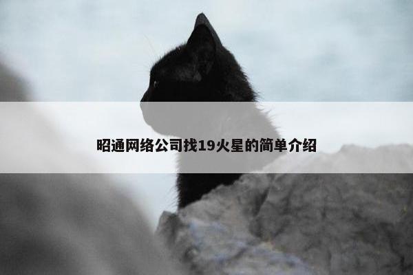 昭通网络公司找19火星的简单介绍