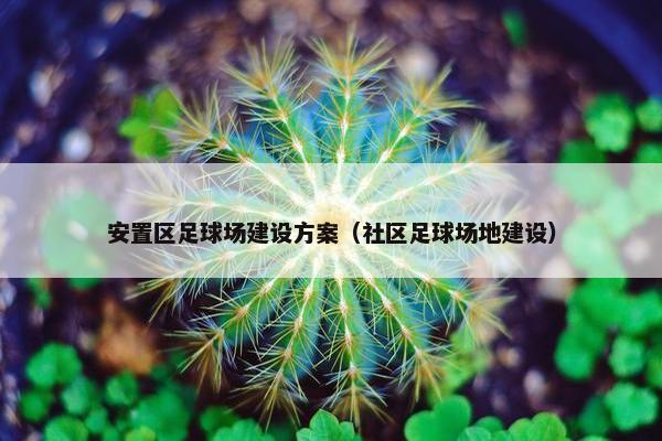 安置区足球场建设方案（社区足球场地建设）