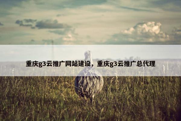 重庆g3云推广网站建设，重庆g3云推广总代理